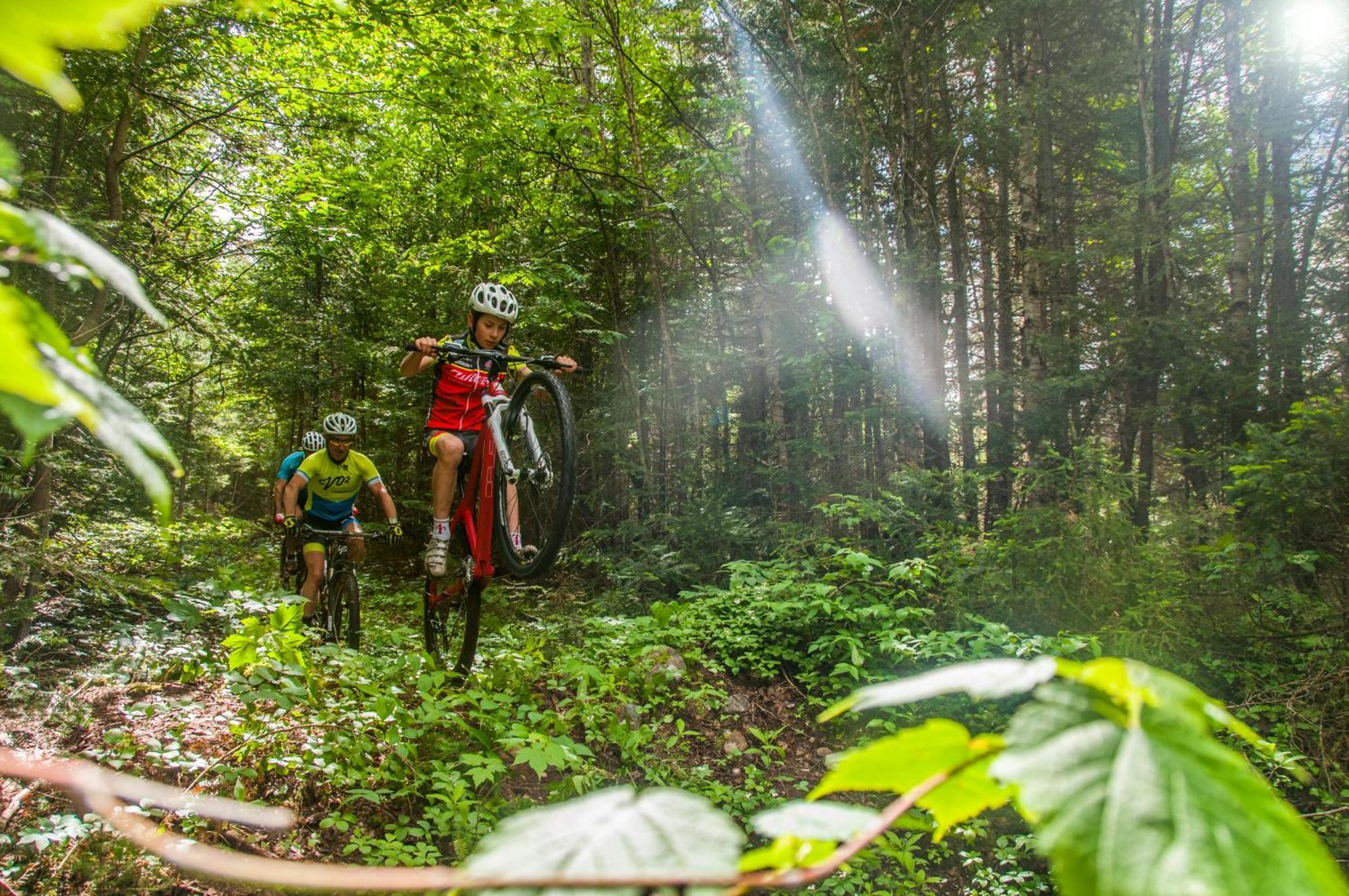 Imago Village Saint-David-de-Falardeau Eksteriør billede
