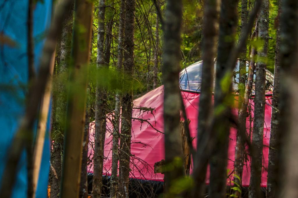 Imago Village Saint-David-de-Falardeau Eksteriør billede